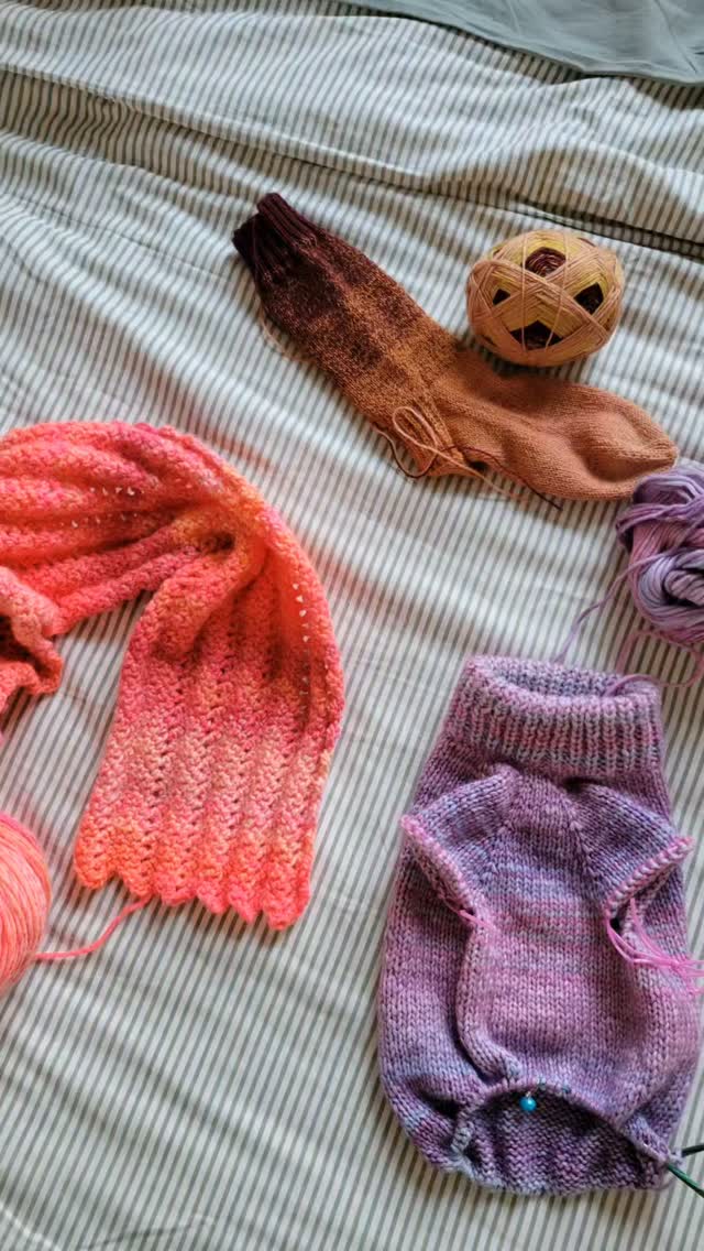 WIP Wednesday check in: 

1. #PortlandRaglanDogSweater by Calico Radio Knits

2. #Sierrascarf by Expression Fiber Arts

3. a simple vanilla Sock 

#knitprogress #crochet #knit